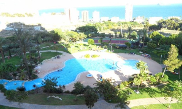 Apartment - Herverkoop - Benidorm - Poniente