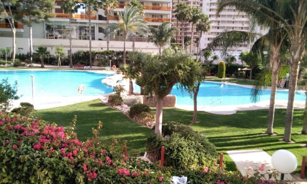 Apartment - Herverkoop - Benidorm - Rincón de Loix