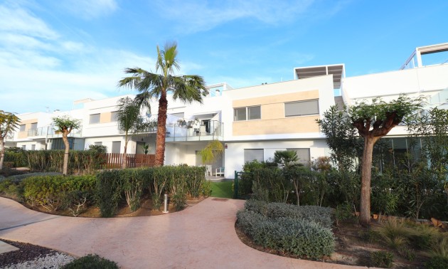 Apartment - Herverkoop - Los Montesinos - Entre Naranjos / Vistabella Golf