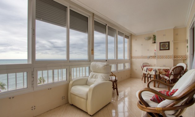Apartment - Herverkoop - Torrevieja - Playa del Cura