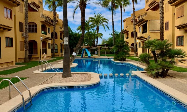 Apartment - Resale - La Mata - La Mata