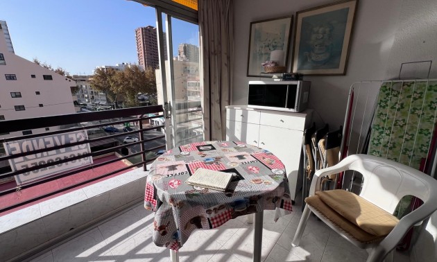 Apartment - Revente - Benidorm - Levante