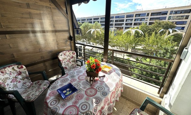 Apartment - Revente - Guardamar del Segura - Guardamar del Segura