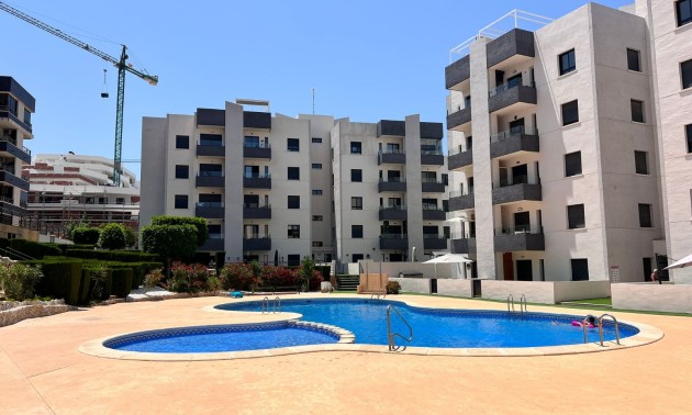 Apartment - Revente - San Miguel de Salinas - San Miguel de Salinas