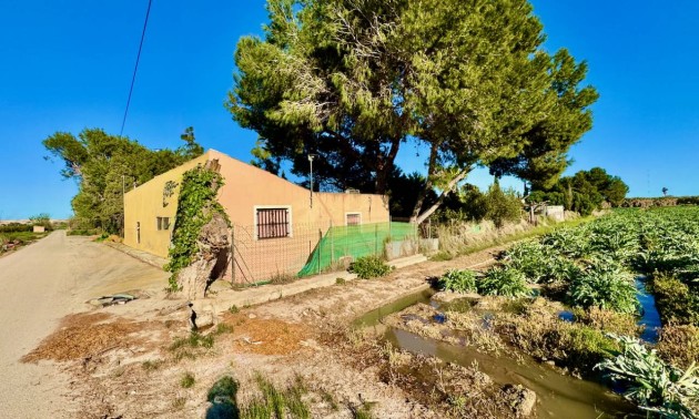 Country House - Herverkoop - Guardamar del Segura - Guardamar del Segura