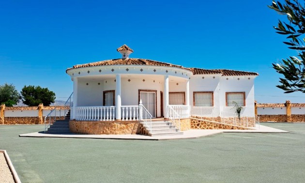 Country House - Revente - Catral - Catral