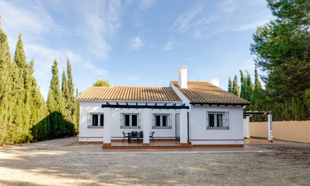 detached - New Build - Fuente Alamo - Fuente Alamo