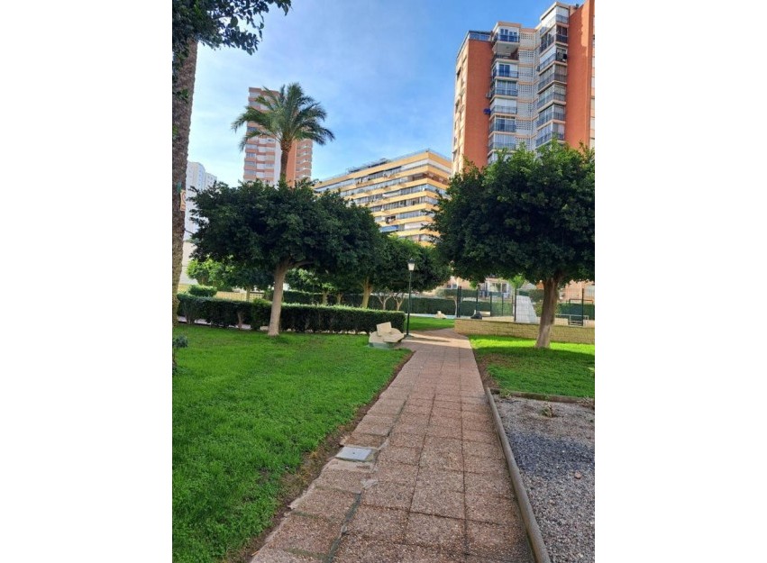 Herverkoop - Apartment - Benidorm - Colonia Madrid