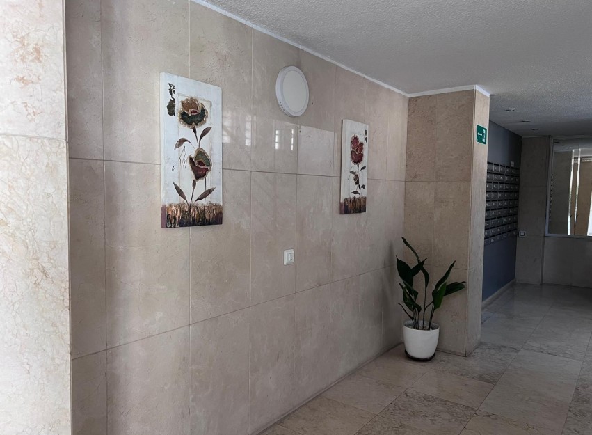Herverkoop - Apartment - Benidorm - Levante