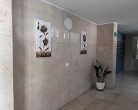 Herverkoop - Apartment - Benidorm - Levante