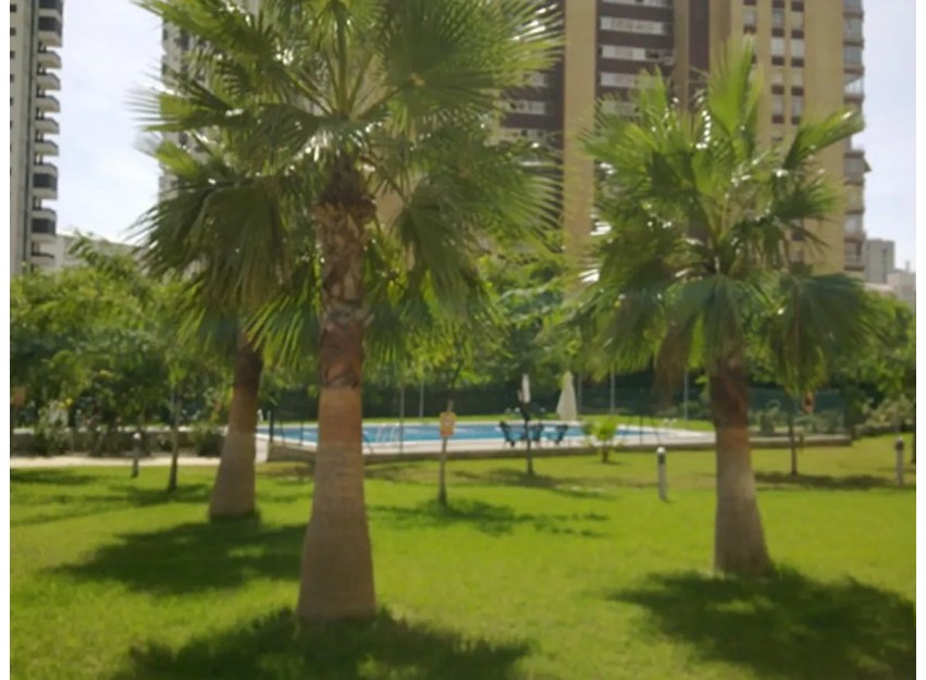 Herverkoop - Apartment - Benidorm - Levante