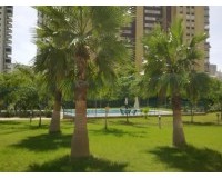 Herverkoop - Apartment - Benidorm - Levante