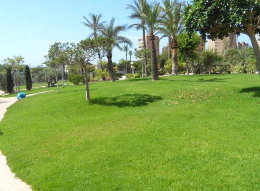 Herverkoop - Apartment - Benidorm - Poniente