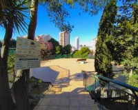 Herverkoop - Apartment - Benidorm - Poniente
