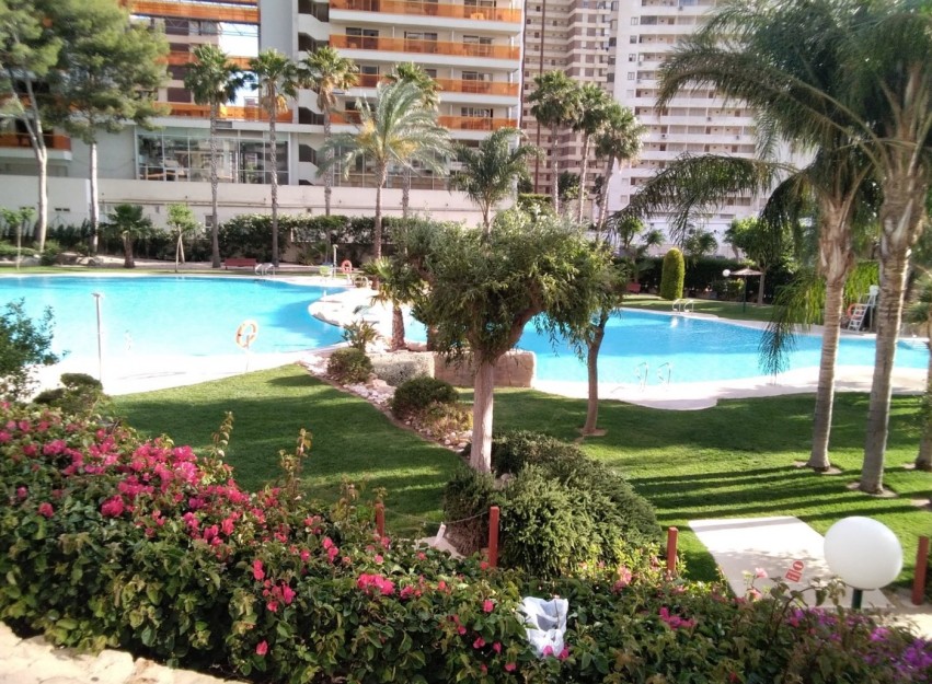 Herverkoop - Apartment - Benidorm - Rincón de Loix