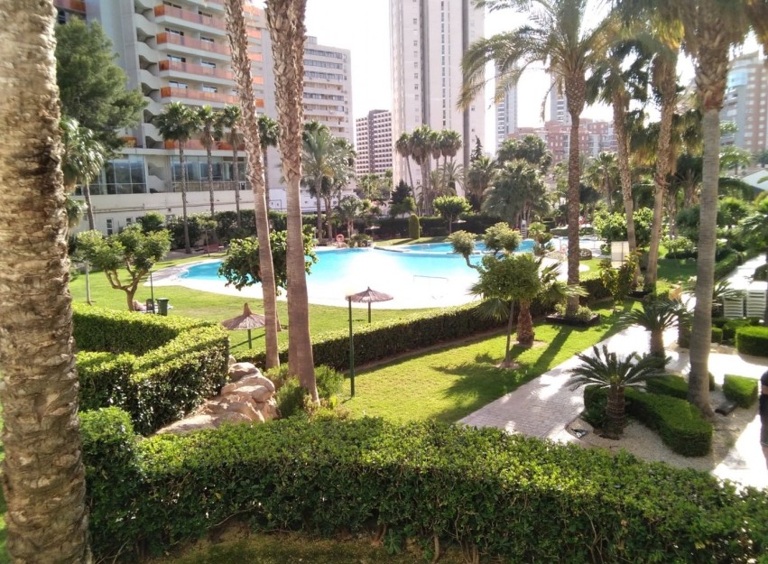 Herverkoop - Apartment - Benidorm - Rincón de Loix