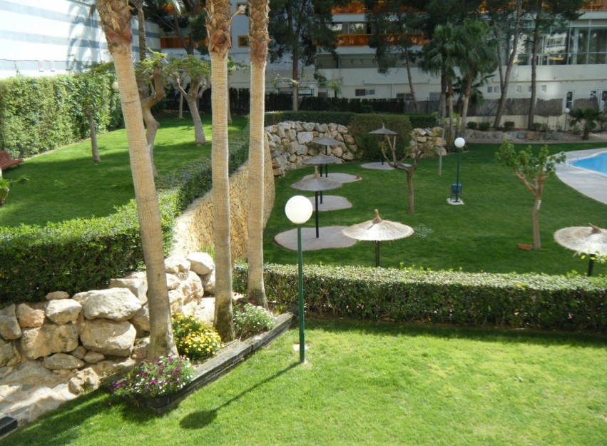 Herverkoop - Apartment - Benidorm - Rincón de Loix