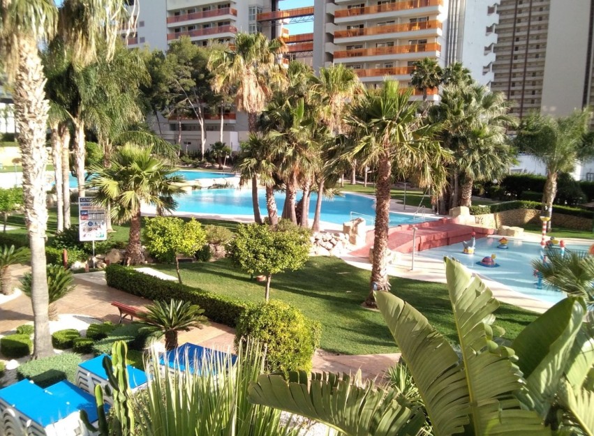 Herverkoop - Apartment - Benidorm - Rincón de Loix