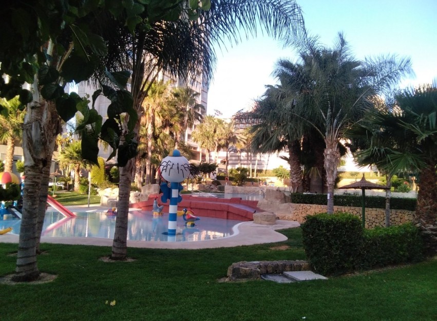Herverkoop - Apartment - Benidorm - Rincón de Loix