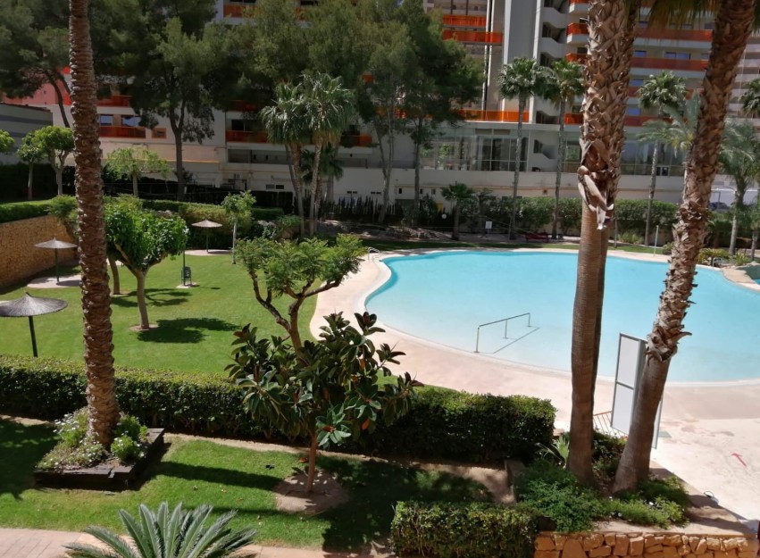 Herverkoop - Apartment - Benidorm - Rincón de Loix