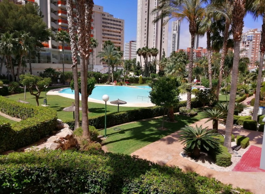 Herverkoop - Apartment - Benidorm - Rincón de Loix