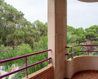 Herverkoop - Apartment - Guardamar del Segura - Center