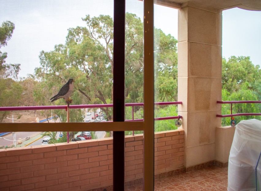 Herverkoop - Apartment - Guardamar del Segura - Center