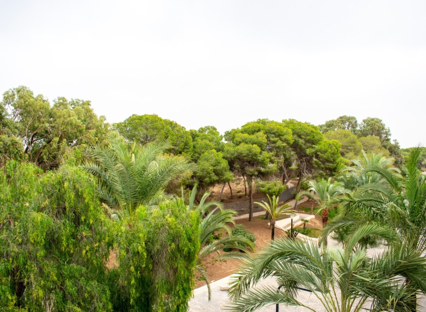 Herverkoop - Apartment - Guardamar del Segura - Center