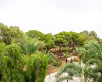 Herverkoop - Apartment - Guardamar del Segura - Center