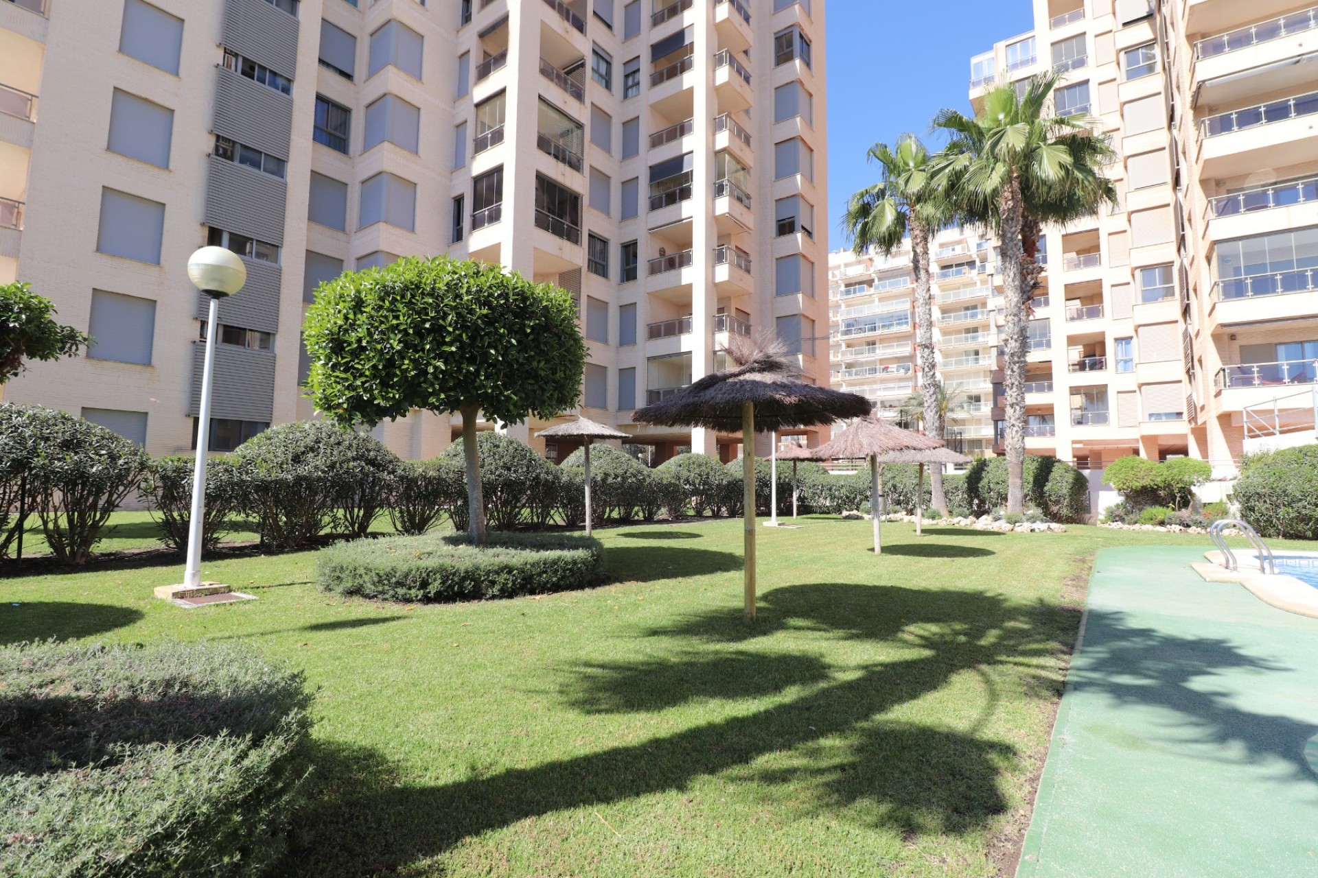 Herverkoop - Apartment - Guardamar del Segura - Guardamar del Segura - Town