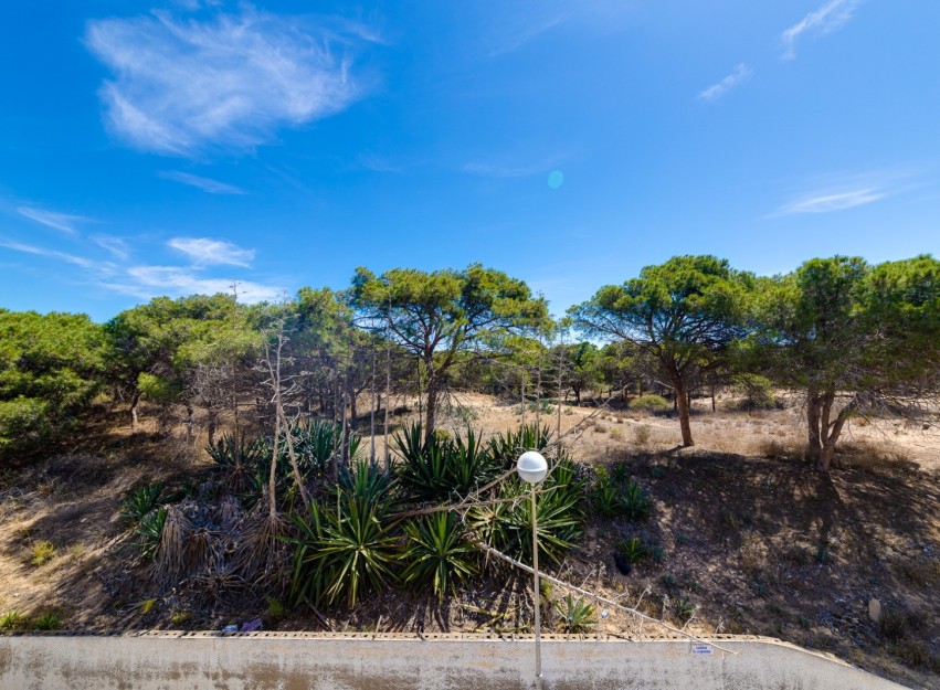Herverkoop - Apartment - Guardamar del Segura - Pinomar