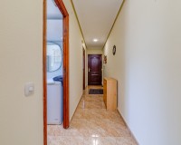 Herverkoop - Apartment - Guardamar del Segura - Pinomar
