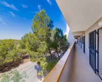 Herverkoop - Apartment - Guardamar del Segura - Pinomar