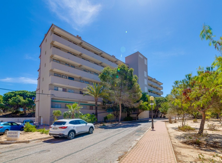 Herverkoop - Apartment - Guardamar del Segura - Pinomar