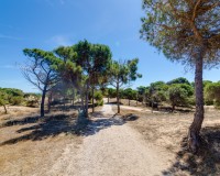 Herverkoop - Apartment - Guardamar del Segura - Pinomar
