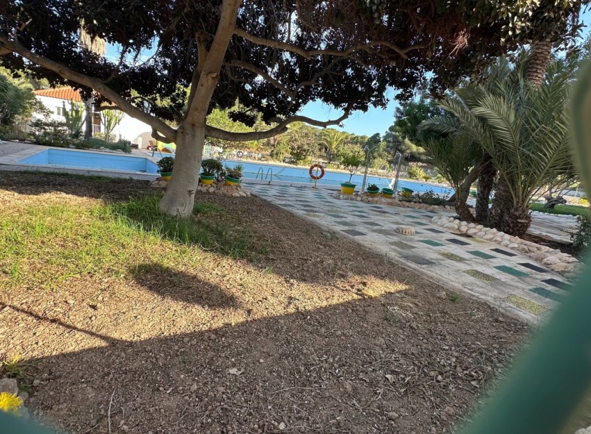 Herverkoop - Apartment - Guardamar del Segura - Pinomar