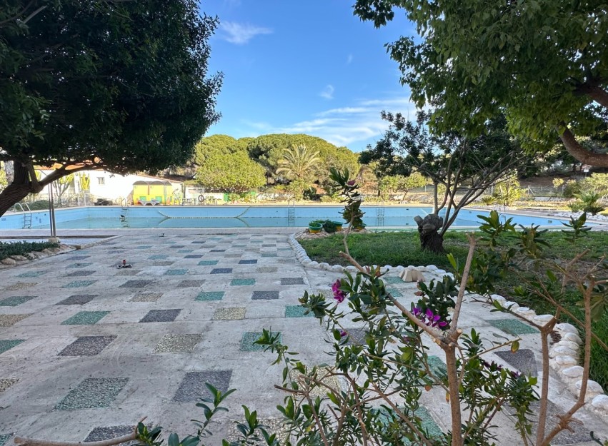 Herverkoop - Apartment - Guardamar del Segura - Pinomar