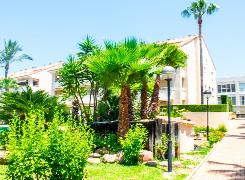Herverkoop - Apartment - Jávea - El Arenal