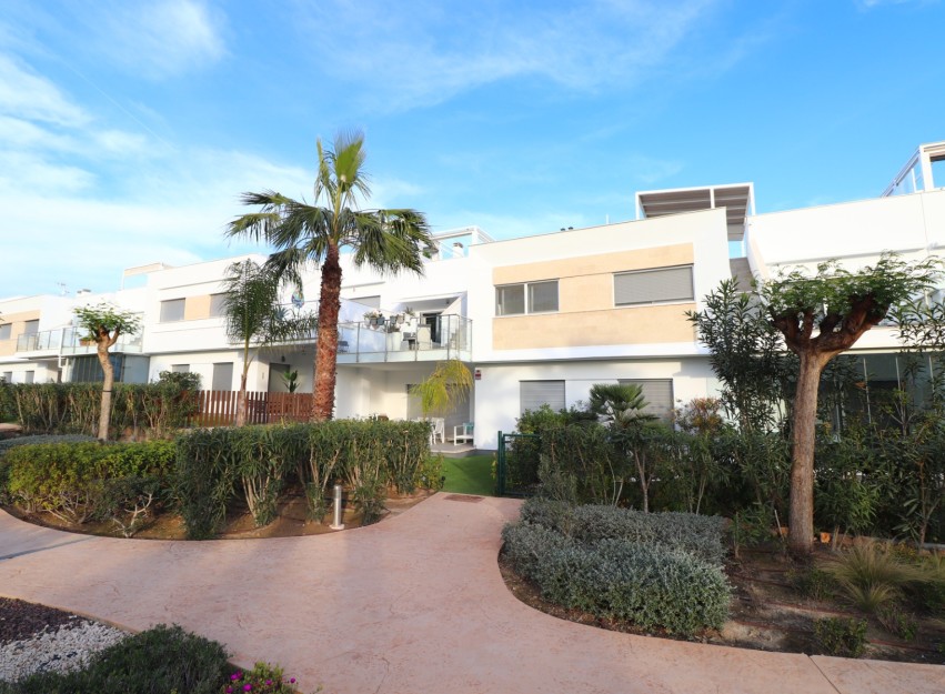 Herverkoop - Apartment - Los Montesinos - Entre Naranjos / Vistabella Golf