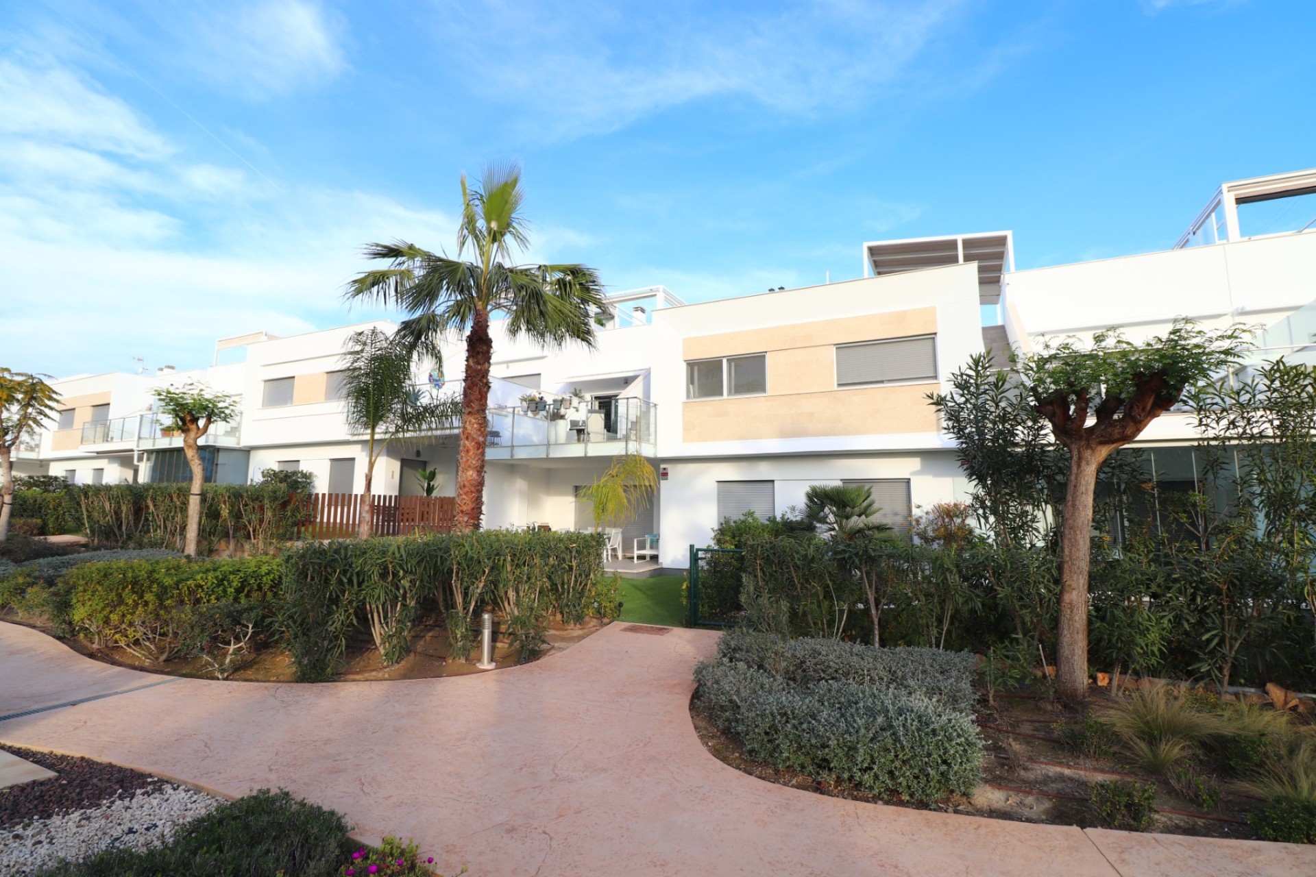 Herverkoop - Apartment - Los Montesinos - Entre Naranjos / Vistabella Golf