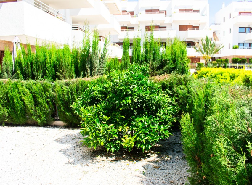 Herverkoop - Apartment - Orihuela Costa - Cabo Roig
