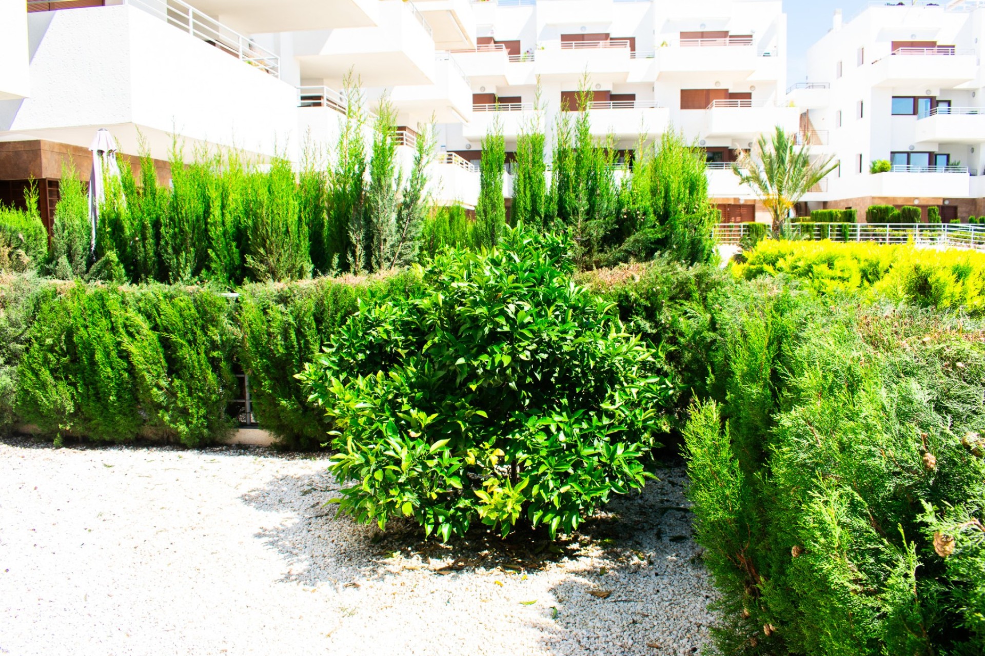 Herverkoop - Apartment - Orihuela Costa - Cabo Roig