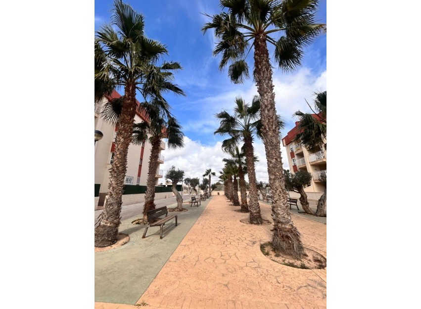 Herverkoop - Apartment - Orihuela Costa - Lomas De Cabo Roig