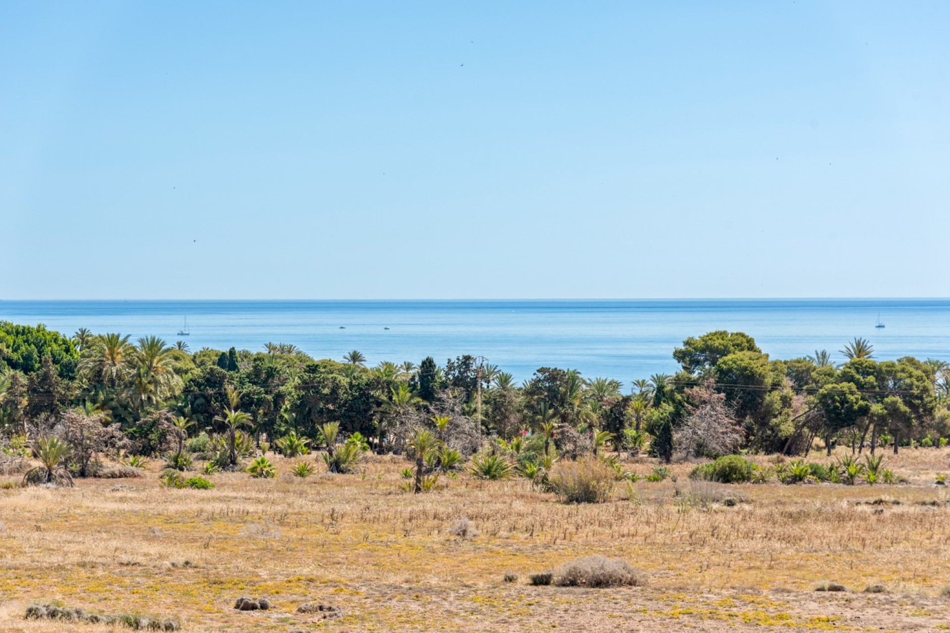 Herverkoop - Apartment - Orihuela Costa - Punta Prima