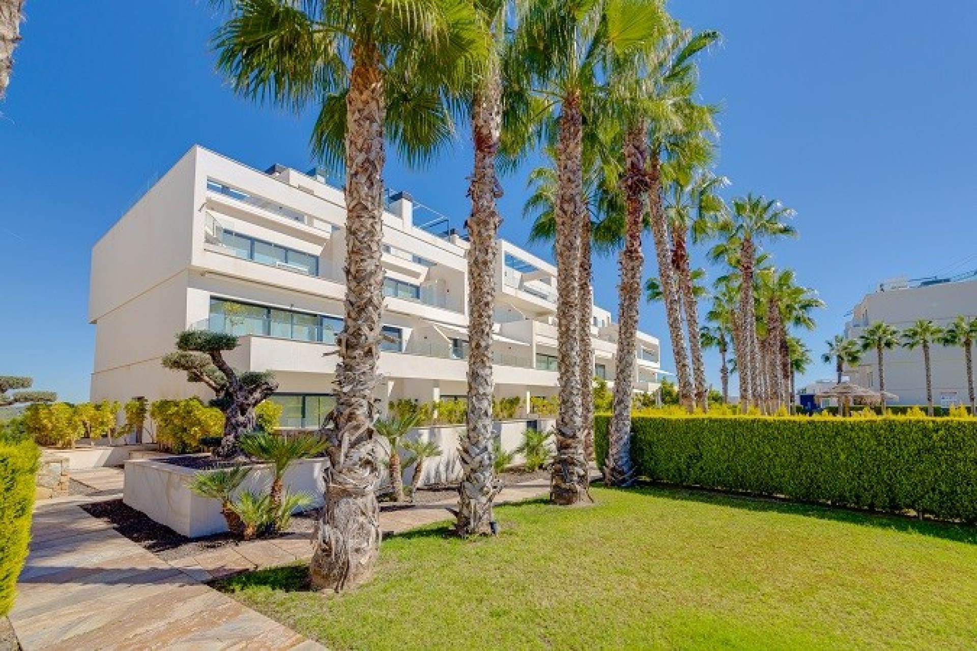 Herverkoop - Apartment - Orihuela - Las Colinas golf