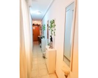 Herverkoop - Apartment - Torrevieja - Playa del Cura