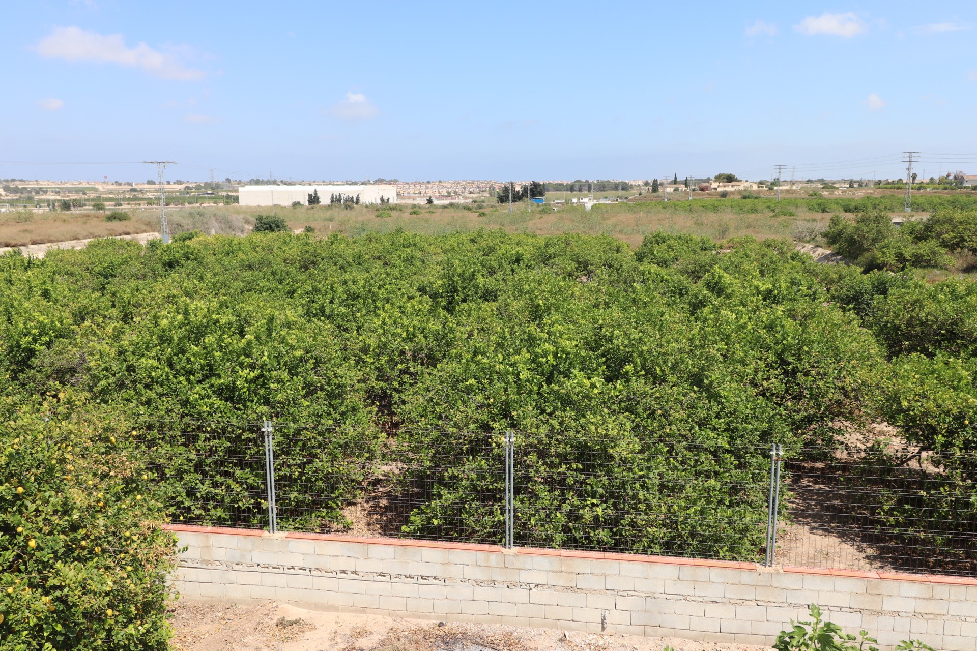 Herverkoop - Country House - Algorfa