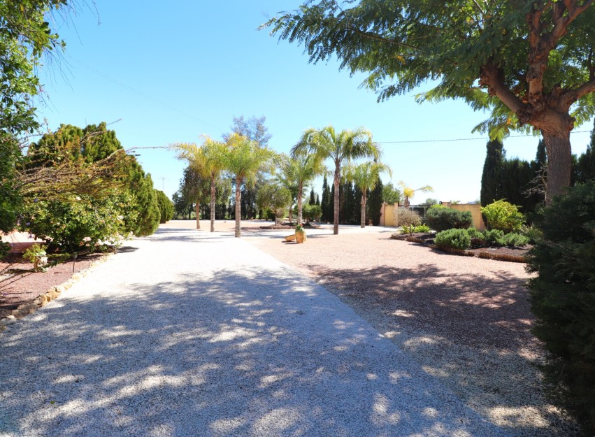 Herverkoop - Country House - Callosa de Segura - Callosa de Segura - Country