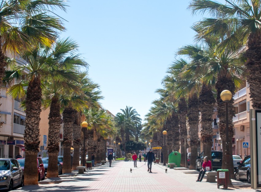 Herverkoop - Herenhuis - Guardamar del Segura - Urbanizaciones