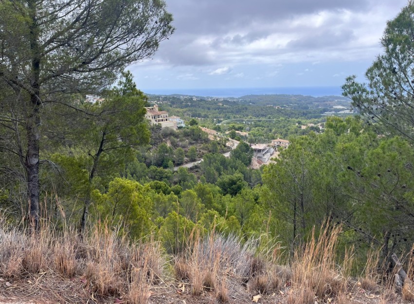 Herverkoop - Land - Altea - Sierra de Altea